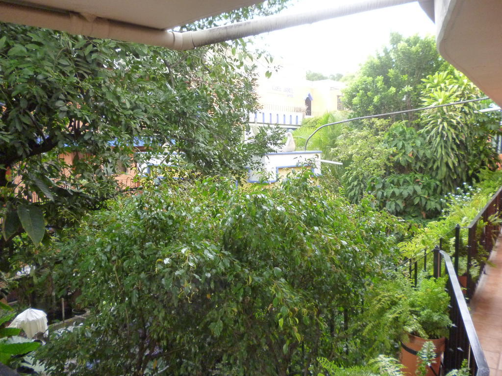 Hotel Casa Arnel Oaxaca Eksteriør billede