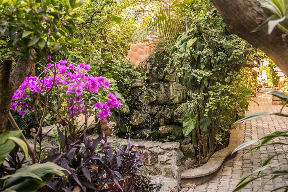 Hotel Casa Arnel Oaxaca Eksteriør billede