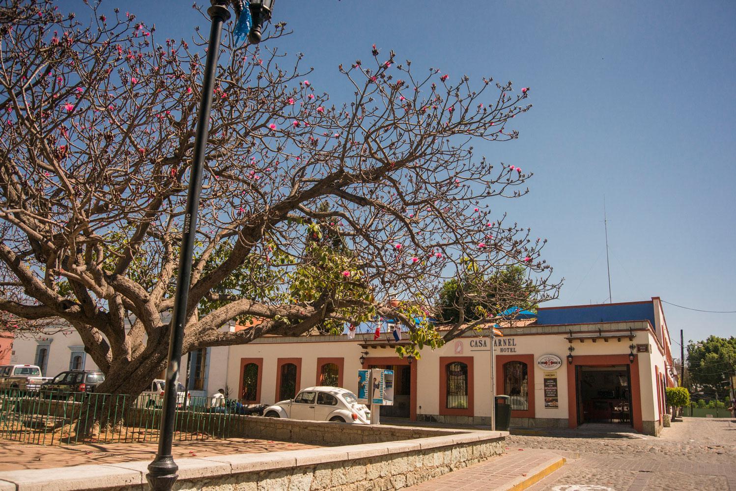 Hotel Casa Arnel Oaxaca Eksteriør billede